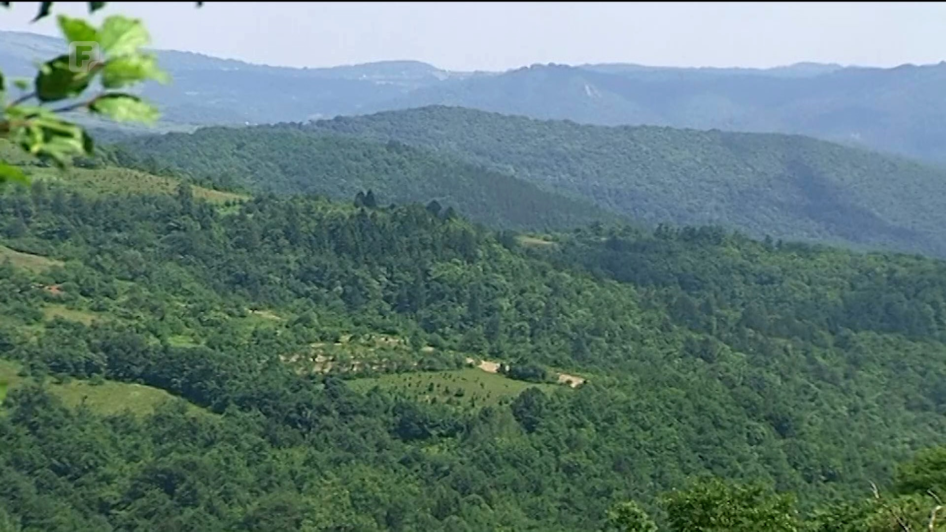 Borba aktivista pokreta Karton revolucija počela davati prve rezultate